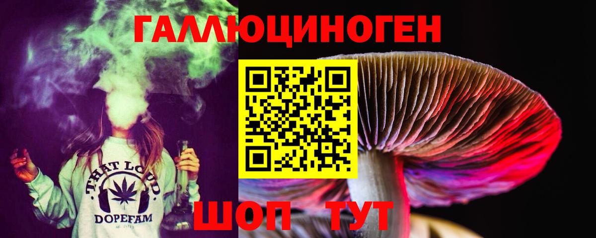 Балтийск  Псилоцибиновые грибы Psilocybe  Вход с VPN  Псилоцибиновые грибы GOLDEN TEACHER 
