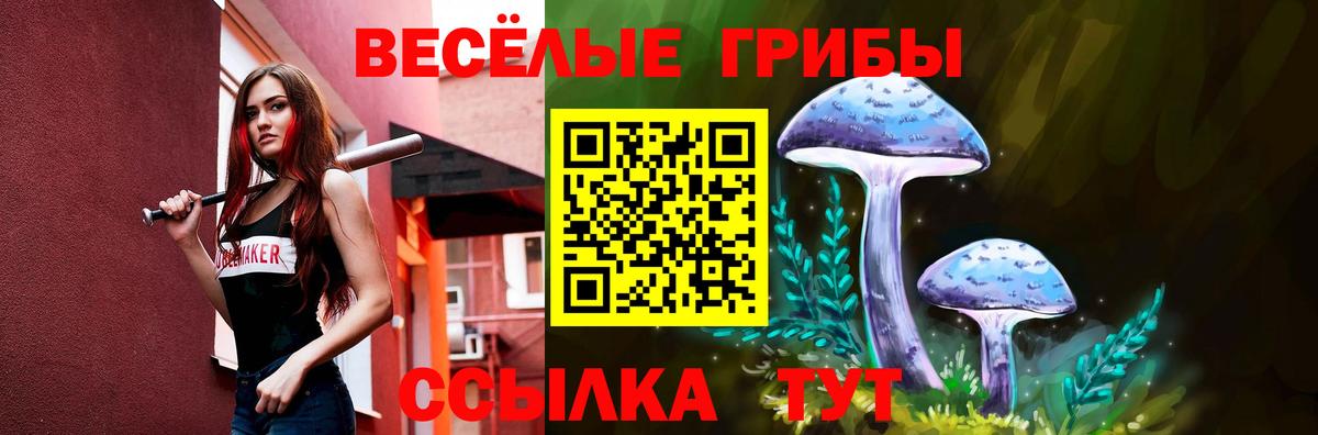 Галлюциногенные грибы прущие грибы Балтийск