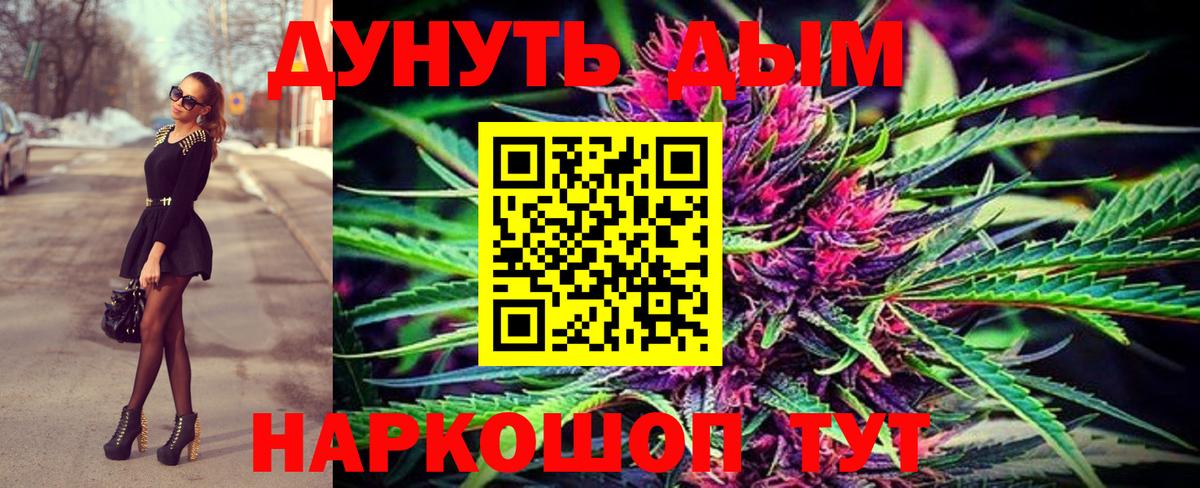 Канабис сатива Балтийск